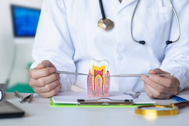Best Emergency Root Canal Treatment in West Mountain, UT